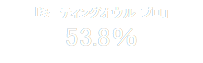 「ミーティングオウル プロ」
53.8％
％

