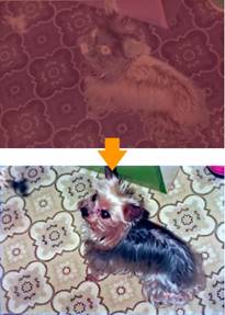 猫の絵

低い精度で自動的に生成された説明